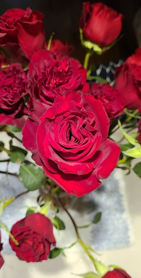 Header of rosiblossomvip