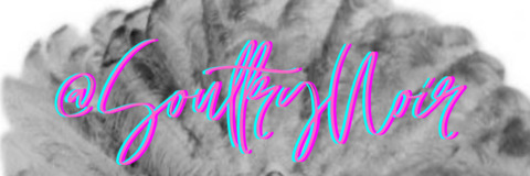 Header of soultrynoir