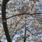 Onlyfans leaked spritedaddy69 

 profile picture