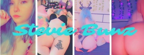 Header of steviebunz