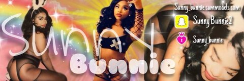 Header of sunnythebunnie