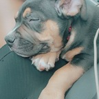 thecookienash (Cookie Nash) OnlyFans Leaked Pictures and Videos 

 profile picture