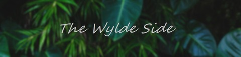 Header of thewyldeside