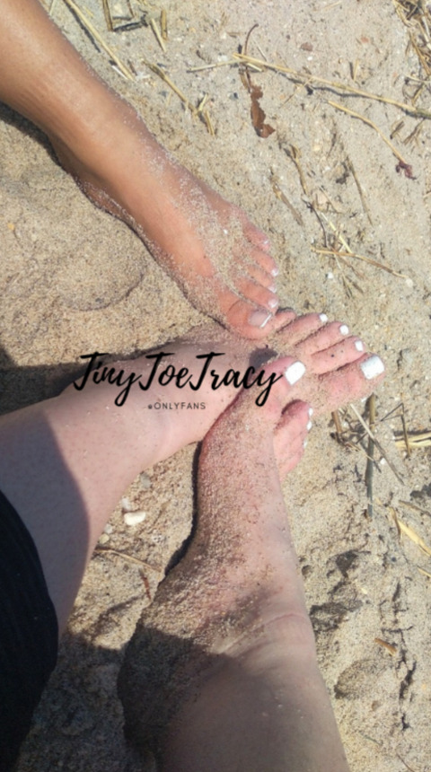 Header of tinytoetracy