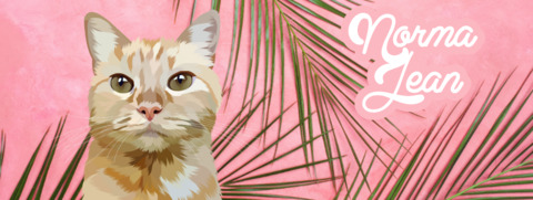 Header of titties_for_kitties