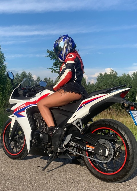 Header of torivikkfree