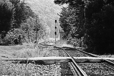 Header of uccats7252