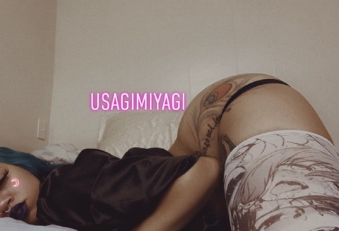 Header of usagimiyagi