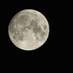 versnerd OnlyFans Leaked 

 profile picture