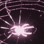 virtualeliza (PrincessElizabeth&lt;3) free OnlyFans Leaked Pictures & Videos 

 profile picture