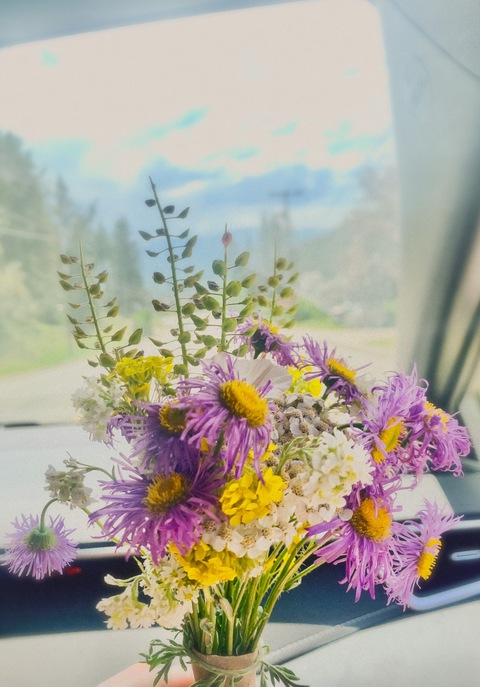 Header of wetdaydreamin