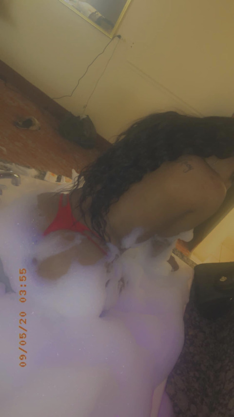 Header of wetfantasy