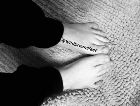 Header of wilddreamfeet