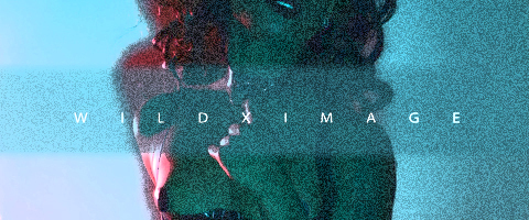 Header of wildximage