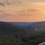 xx20wxbear OnlyFans Leaked 

 profile picture