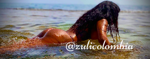 Header of zulicolombia